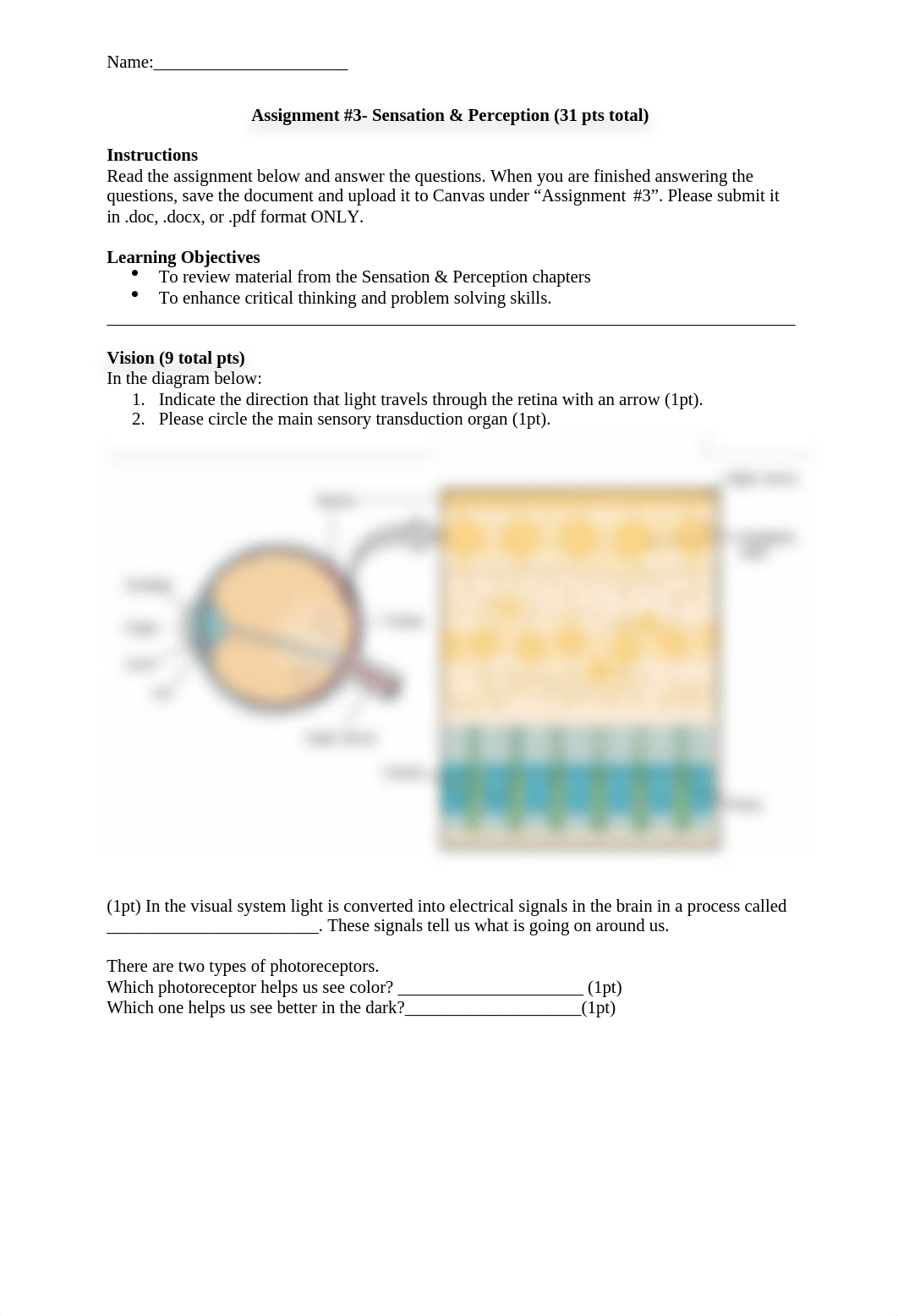 Assignment 3_Sensation-Perception.docx_dsrz0xoabjw_page1