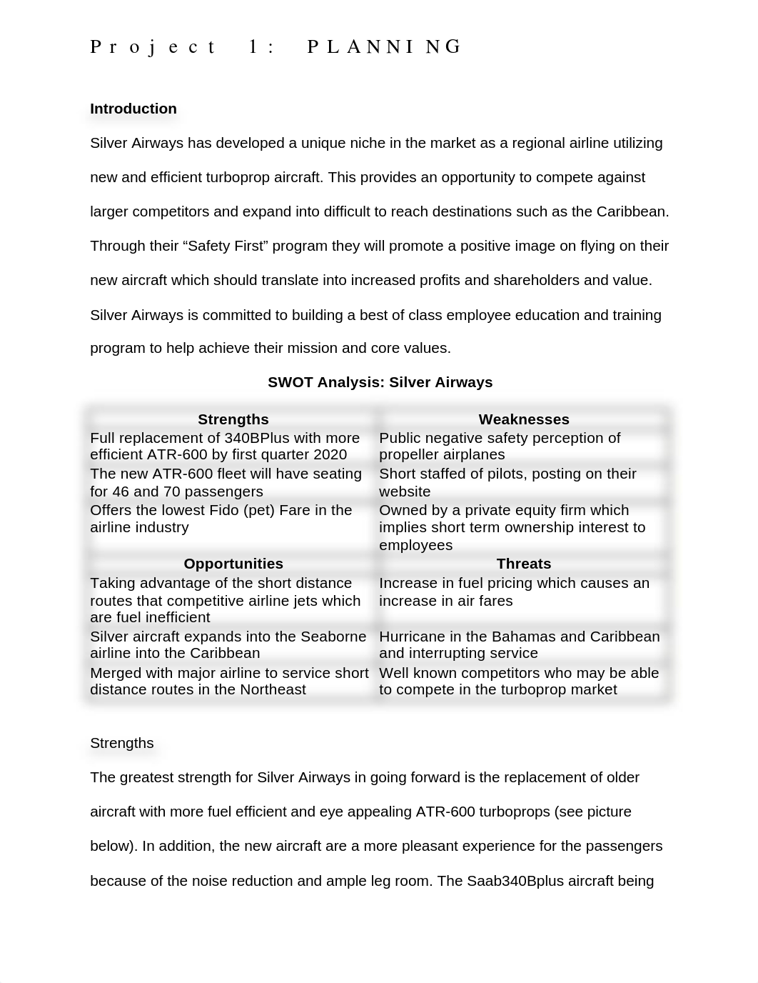 Project 1 Silver Airway (2).docx_dss7k63kc6s_page2