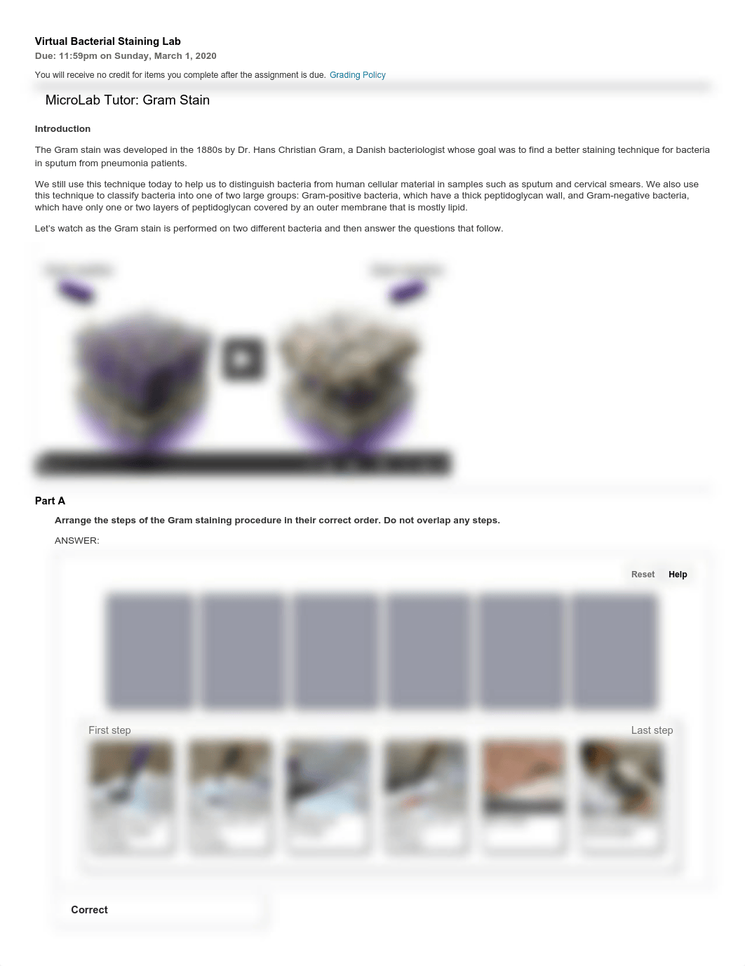 Virtual Bacterial Staining Lab.pdf_dss7k6fkplc_page1