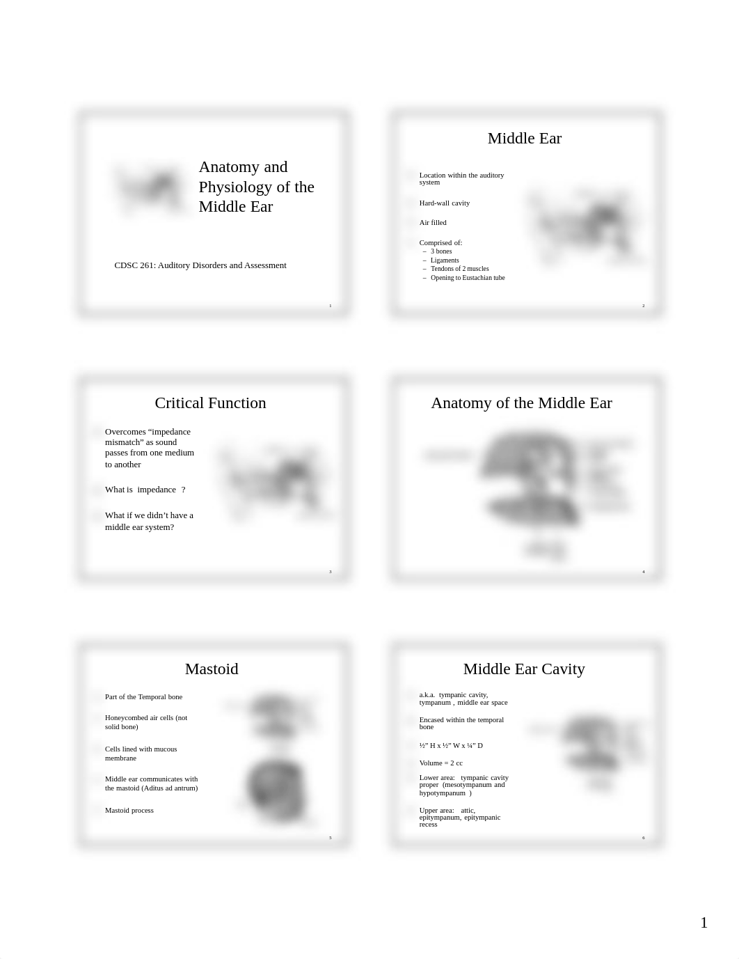 Anatomy of middle ear notes_dsshpzeo3zq_page1
