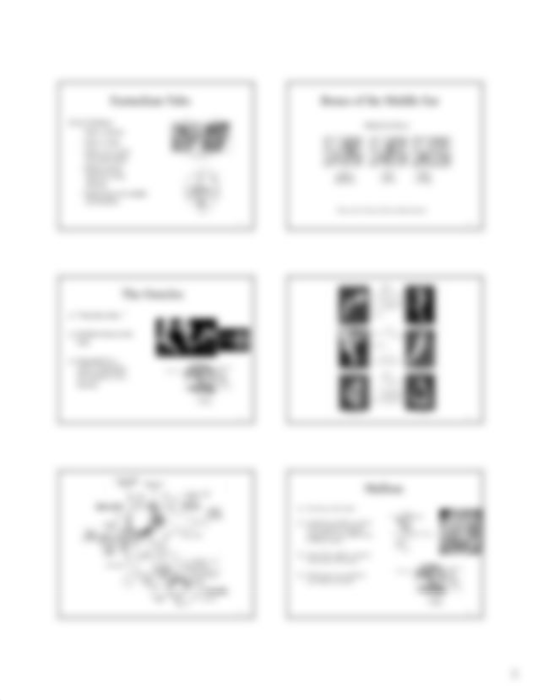 Anatomy of middle ear notes_dsshpzeo3zq_page3