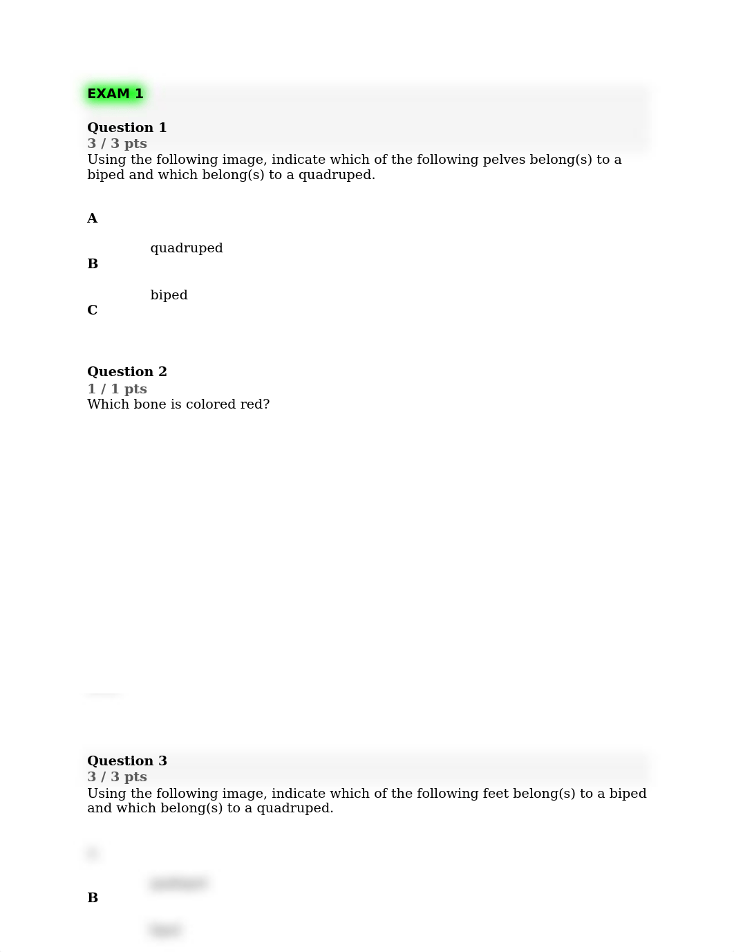 ANT 101(EXAMS).docx_dssjqrapcte_page1