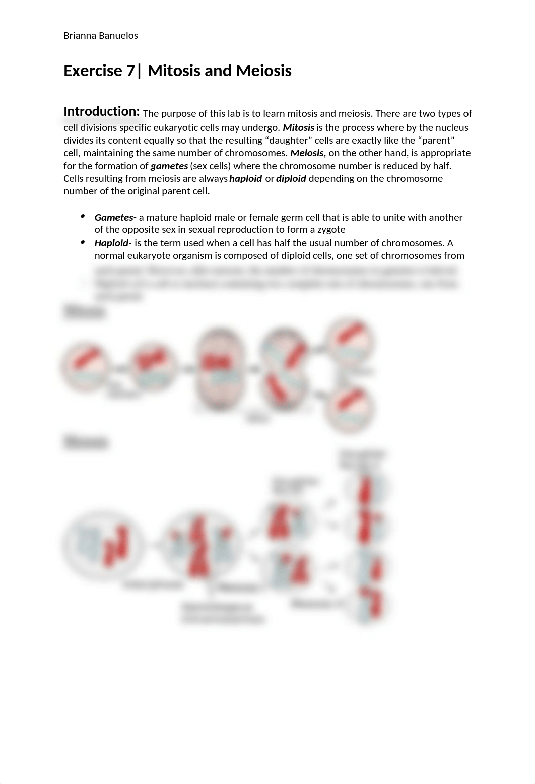 Bio-1 Lab 7-2.docx_dsslfzdhfzz_page1