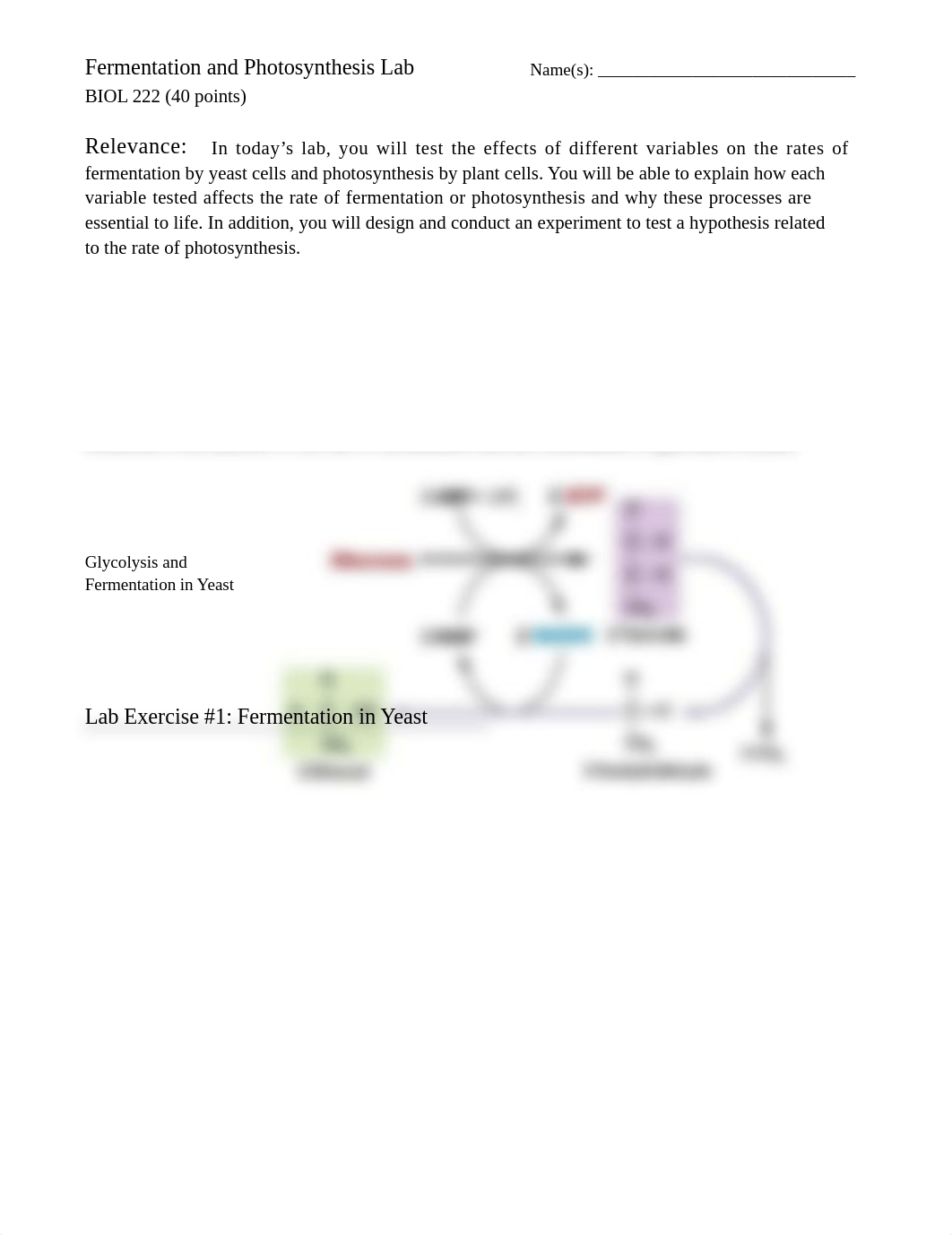 Fermentation and Photosynthesis_Student Worksheet_BIOL 222_F21.docx_dst125ljg5p_page1