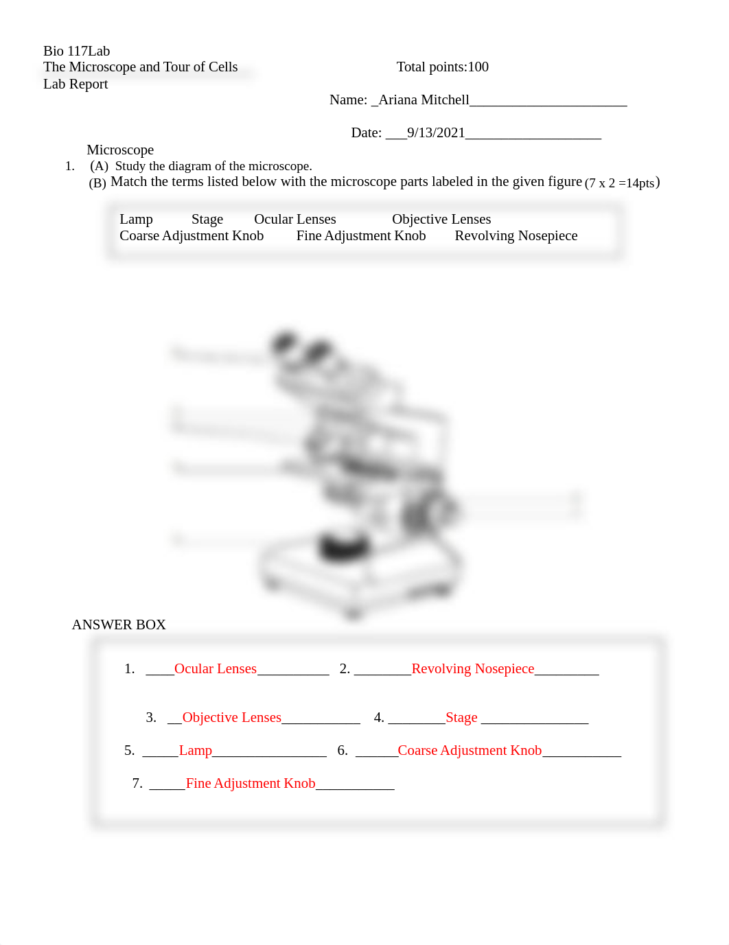 bio 117 lab 4 Microscope and Tour of Cells Experiment.doc_dst1zhjgk91_page1