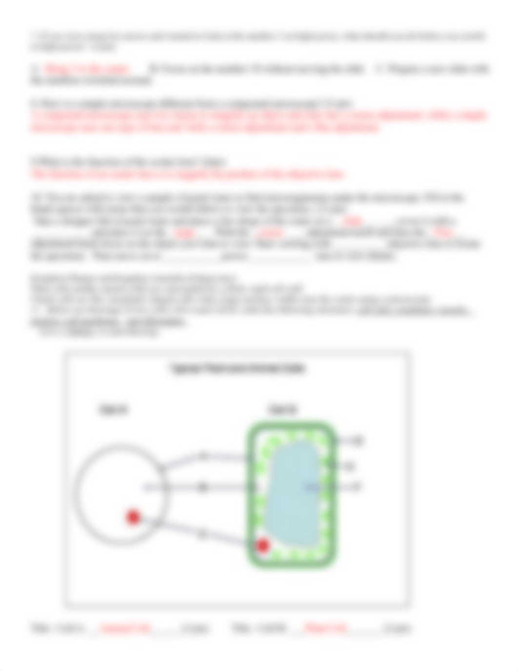 bio 117 lab 4 Microscope and Tour of Cells Experiment.doc_dst1zhjgk91_page3