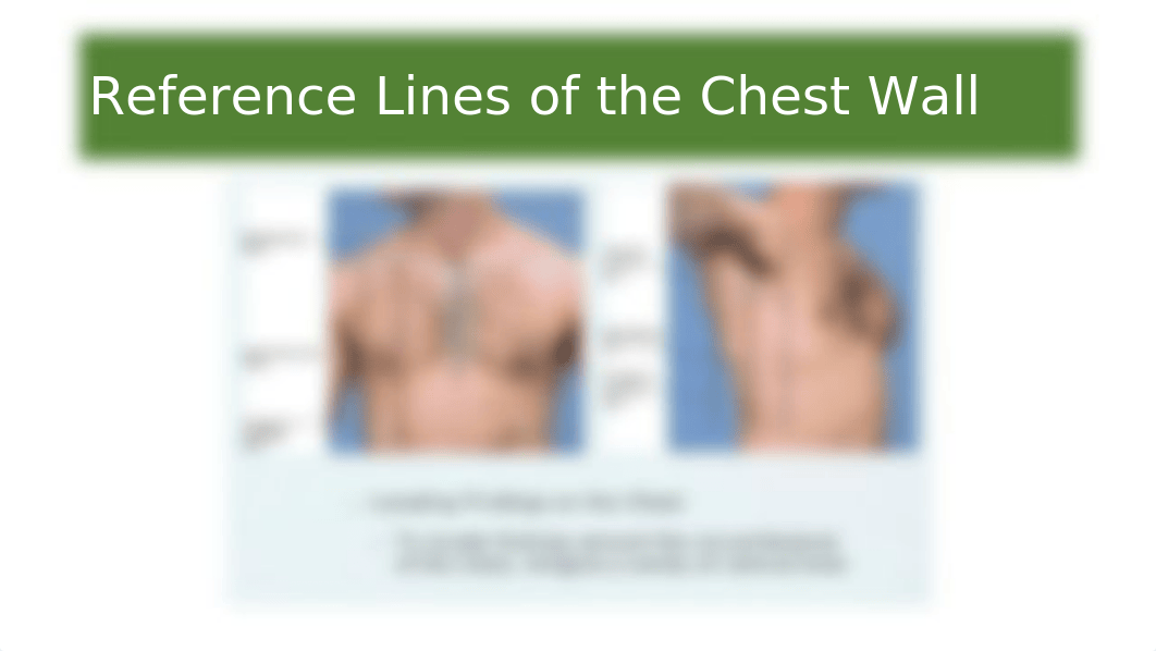 Chapter 19 Thorax and Lungs - Respiratory System1.pptx_dst7bqvi66m_page4