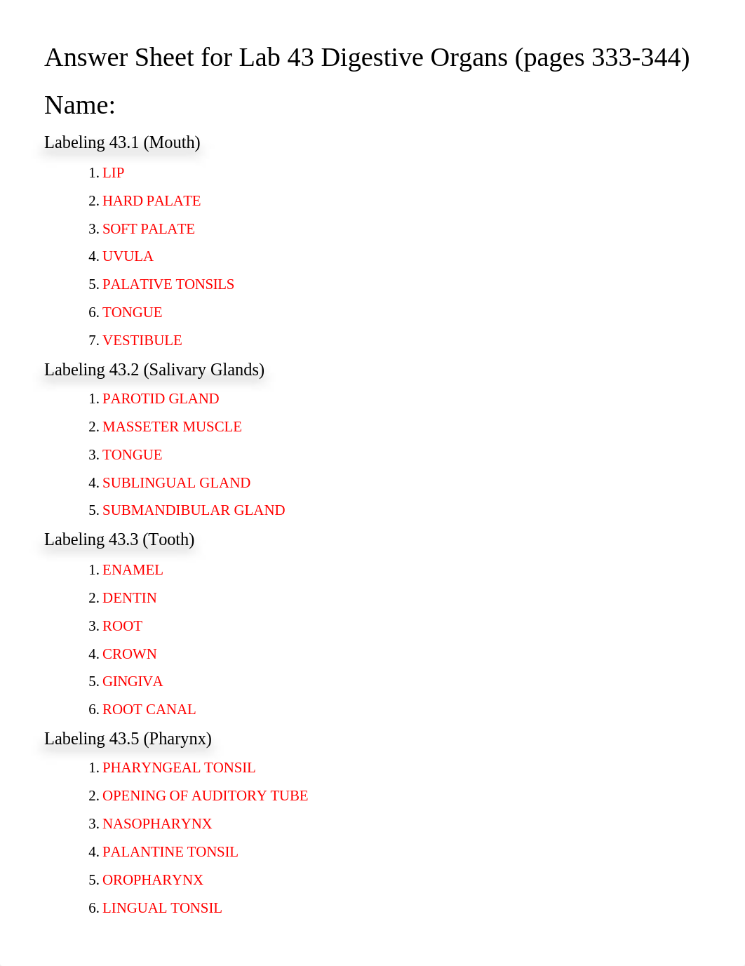 Answer Sheet for Lab 43 Digestive Organs (1).docx_dst8r7ggu4v_page1