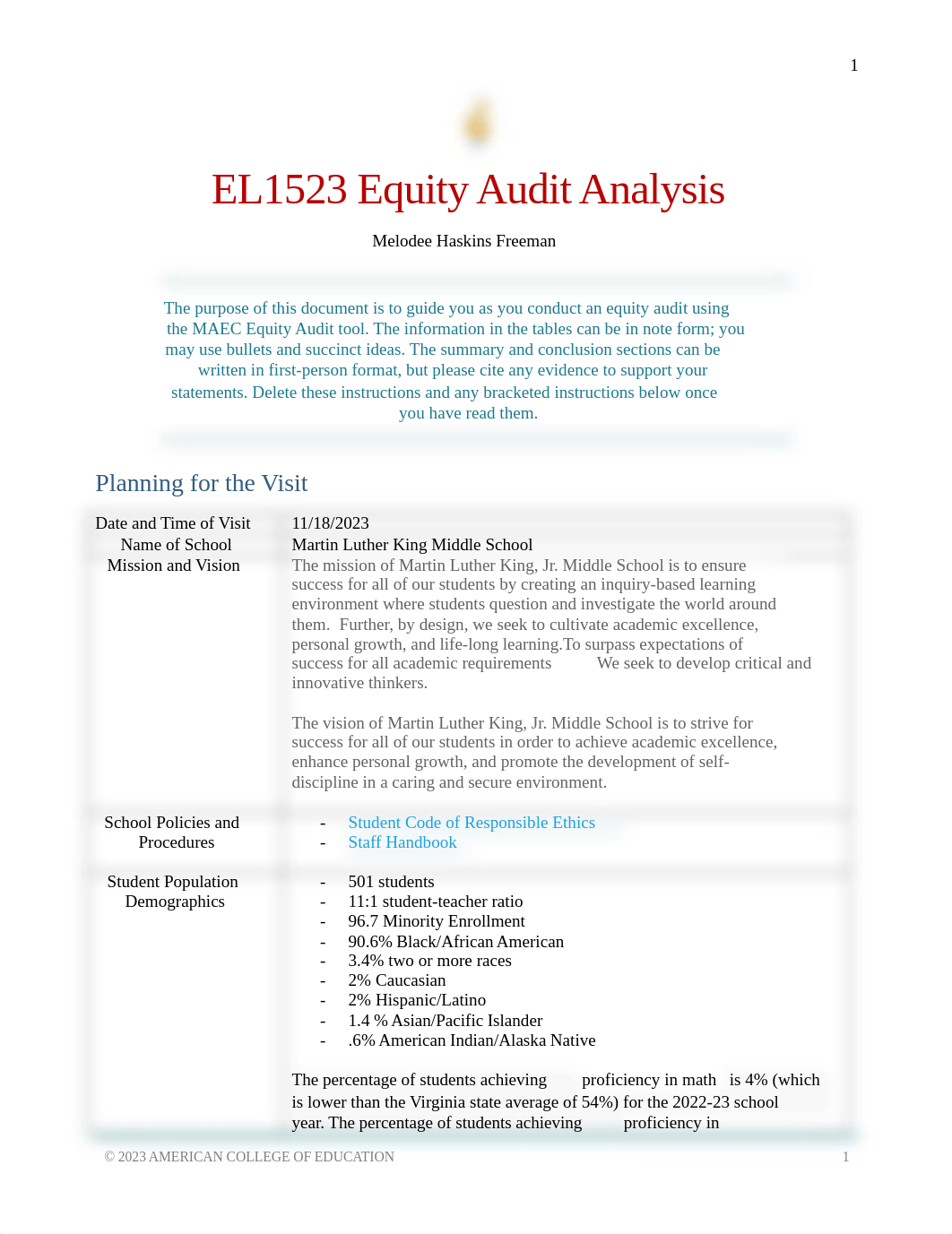 equity-audit-analysis-ACE.docx_dstftiov1de_page1