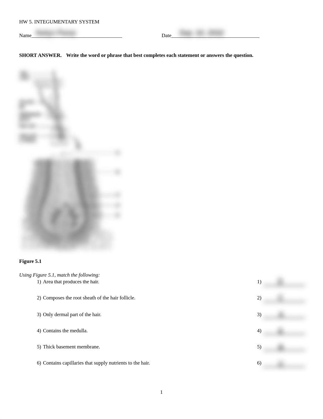 HW 5. INTEGUMENTARY SYSTEM copy.pdf_dstph06obh4_page1