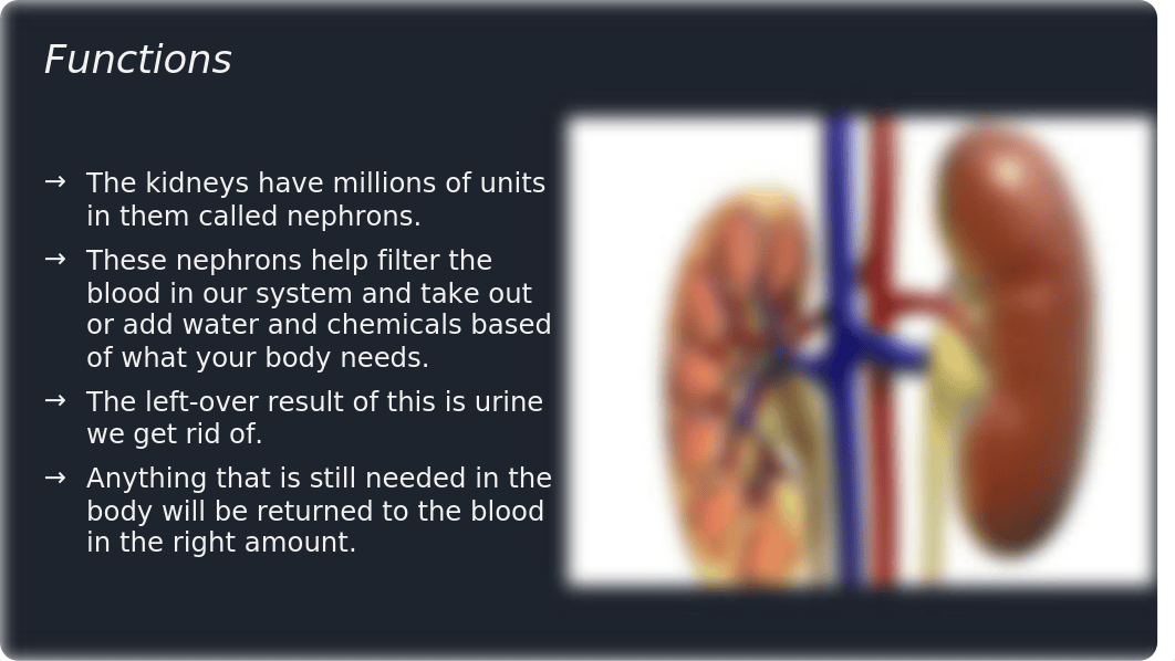 Urinary system.pptx_dstw8jgcpcw_page4