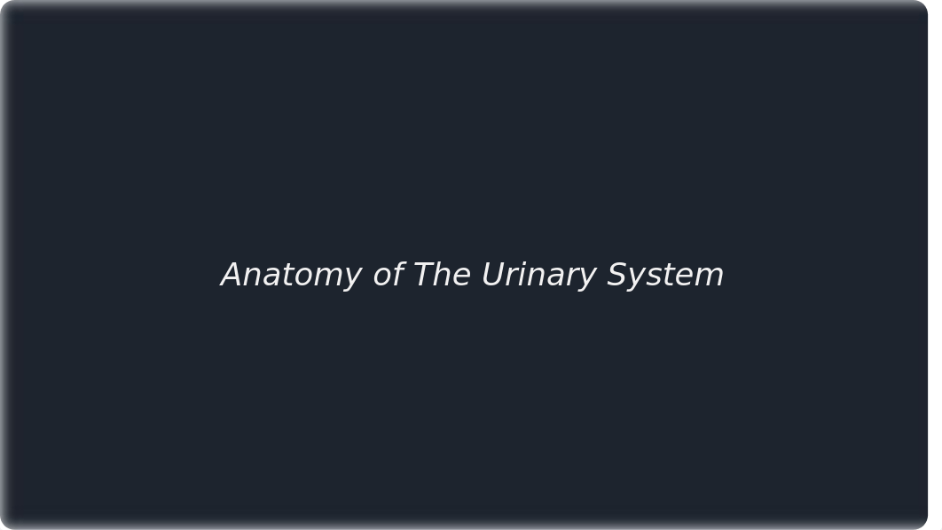 Urinary system.pptx_dstw8jgcpcw_page2