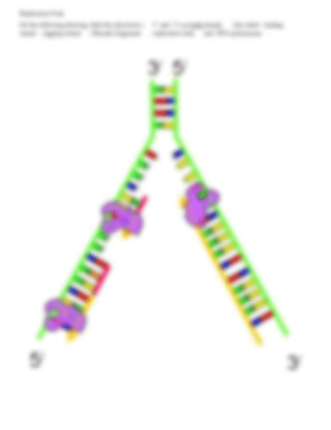 replication.pdf_dsu89un69rd_page4