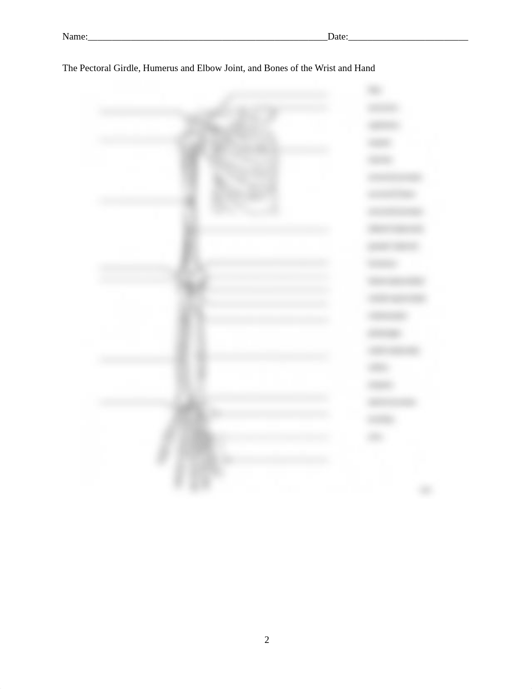 Human Anatomy Homework Chp. 8.pdf_dsua8mt6ne7_page2