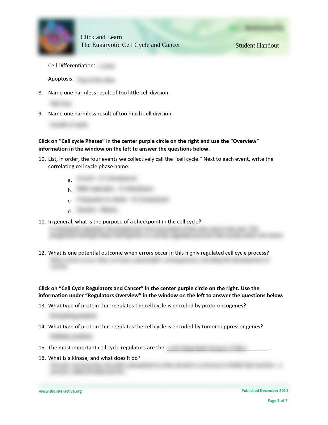 Cell Cycle and Cancer Worksheet HHMI.pdf_dsuav596gij_page2