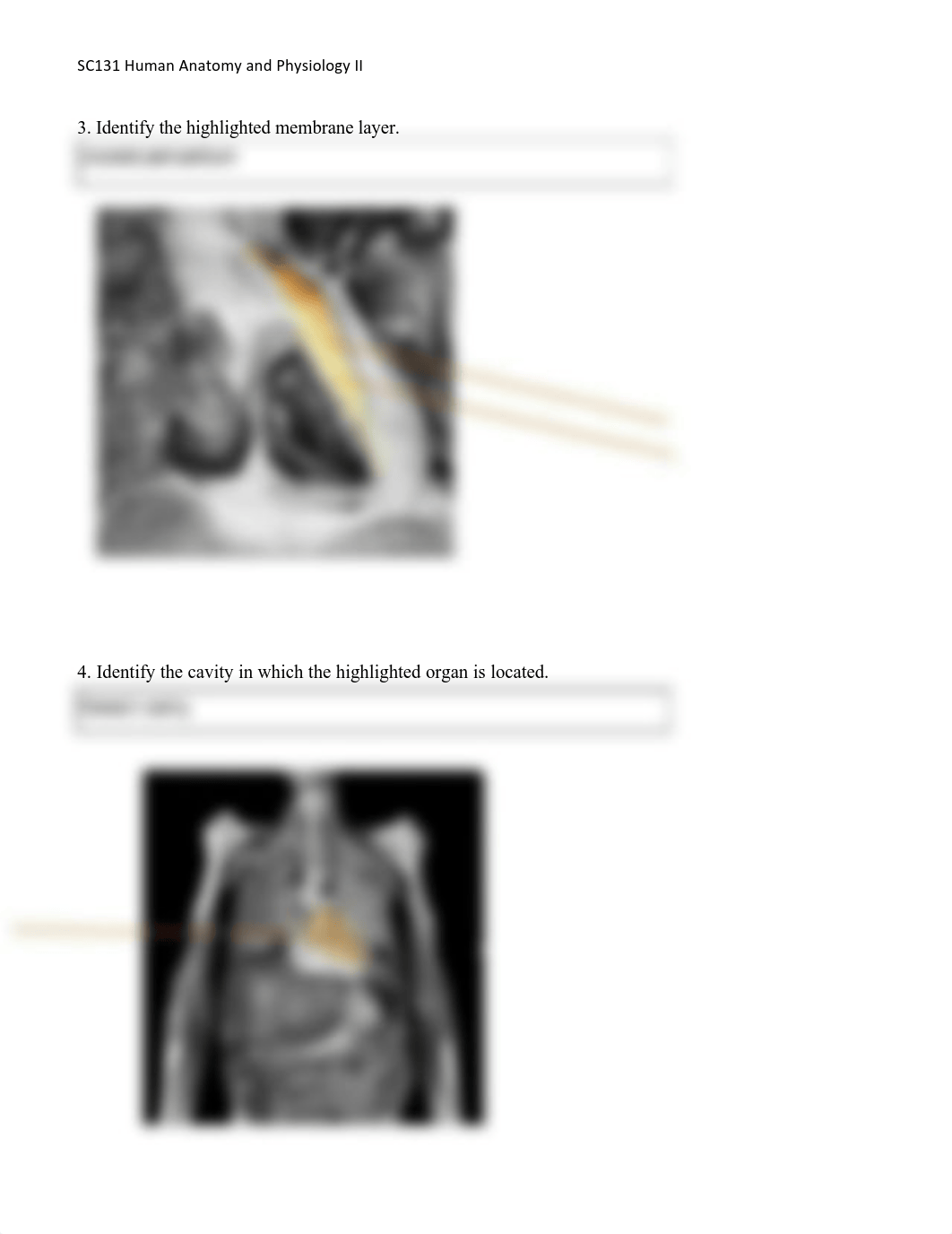 Unit 2 Lab_dsubn62bjmx_page2