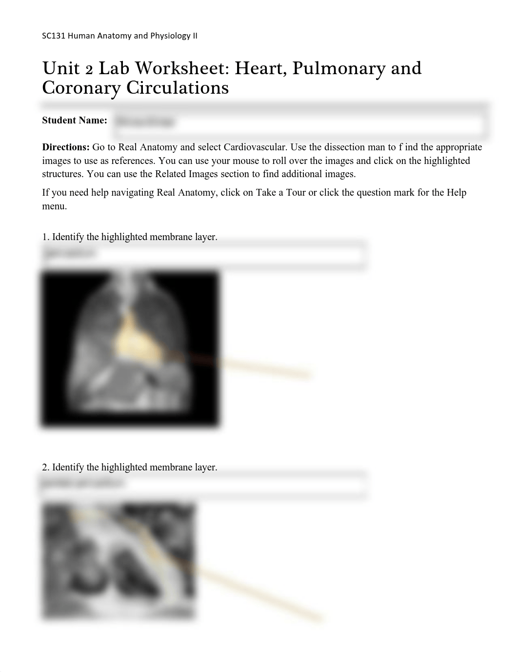 Unit 2 Lab_dsubn62bjmx_page1