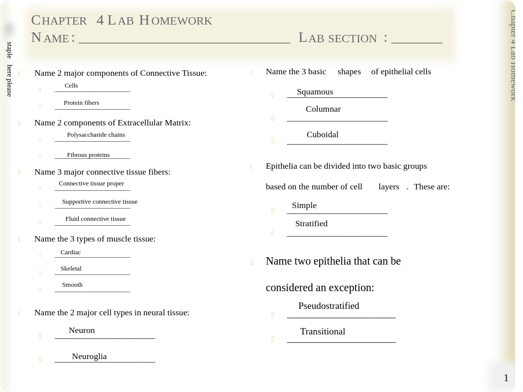 ch 4 homework.pdf_dsubnalujmz_page1