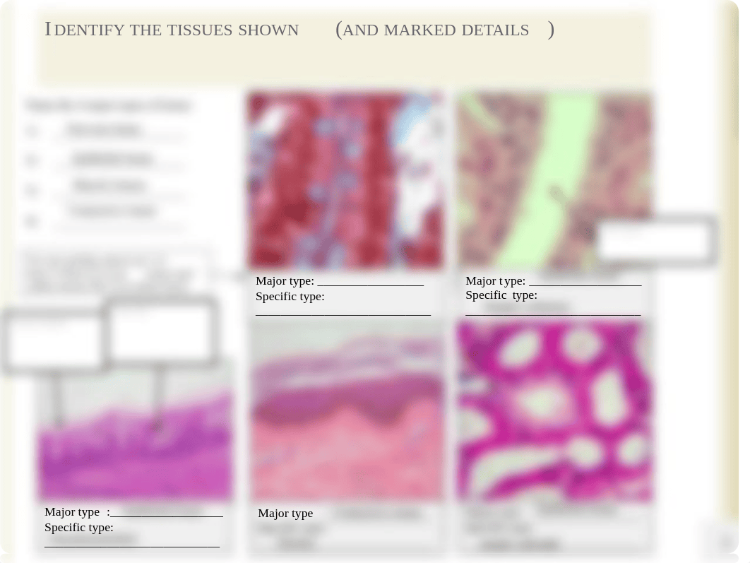 ch 4 homework.pdf_dsubnalujmz_page2