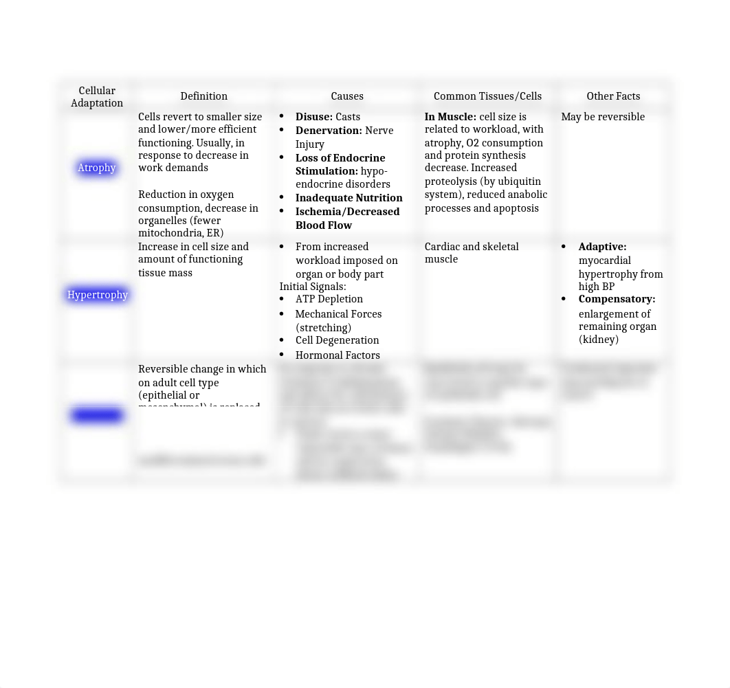 Cell Adaptation and Injury.docx_dsuksjjfnhv_page1