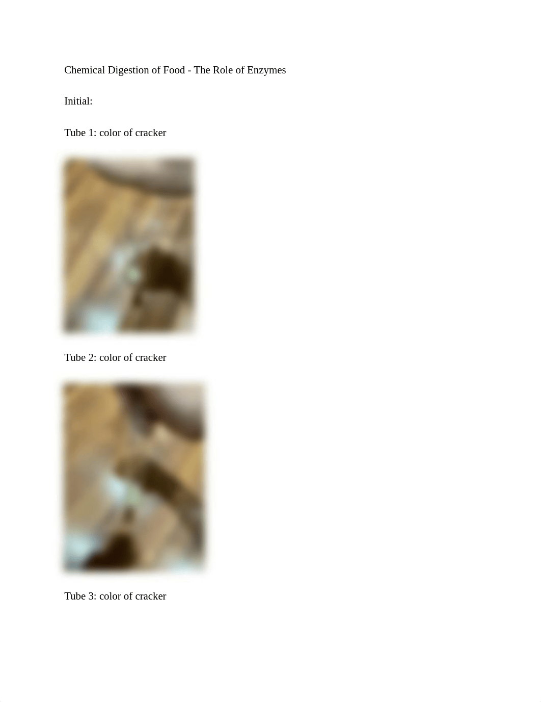 TNguyen enzymes experiment.docx_dsupob78sgx_page1