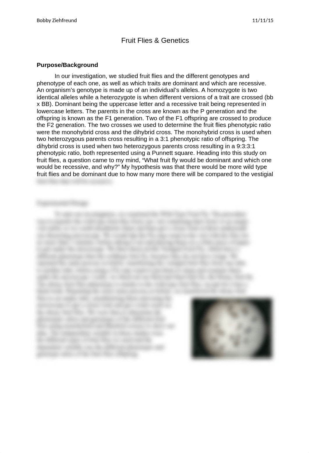 BIOLab #9 (fruit flies).docx_dsuu8ihcs8v_page1