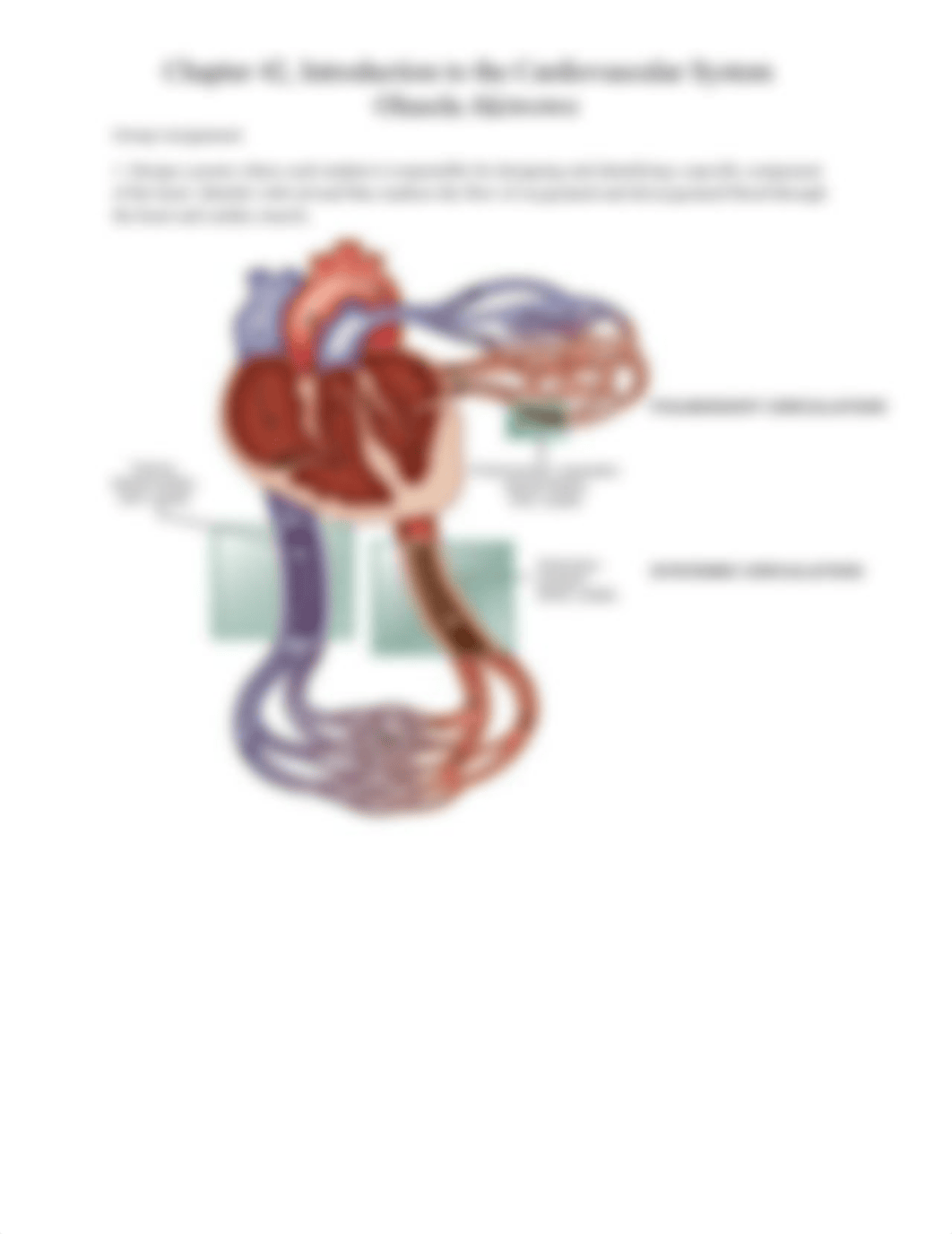 Chapter 42, Introduction to the Cardiovascular System_dsuw2gne9v1_page2