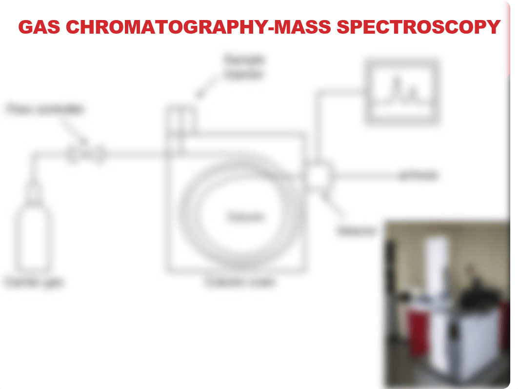 Chapter 10 Lecture PowerPoint_dsv748osqea_page3