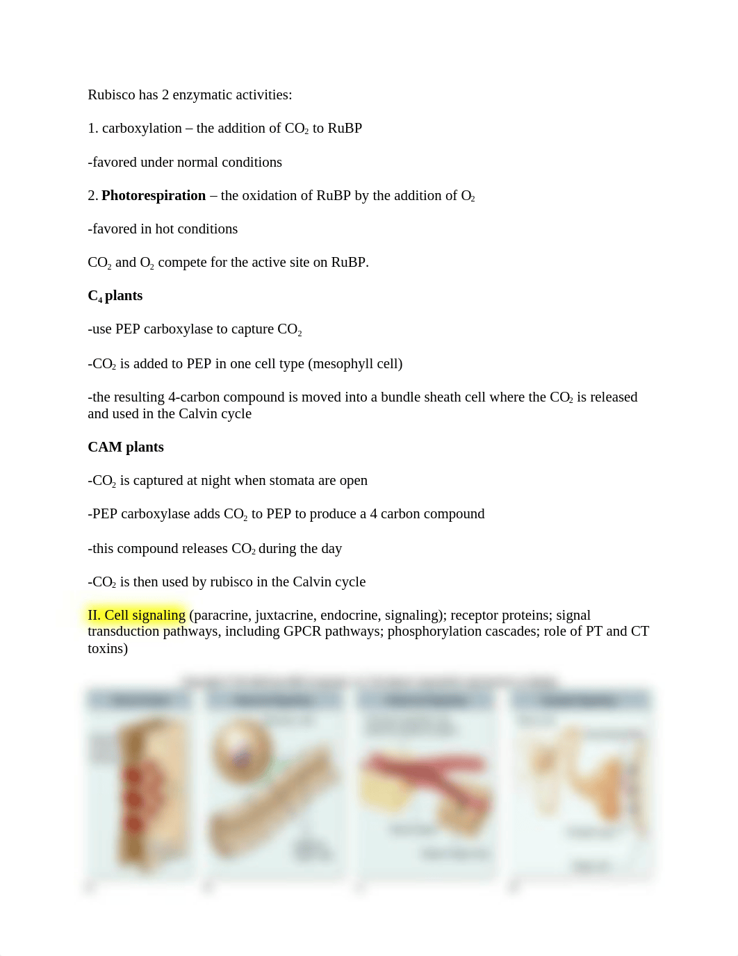 BIOL122FINALSTUDYGUIDE_dsvopz7a89p_page2