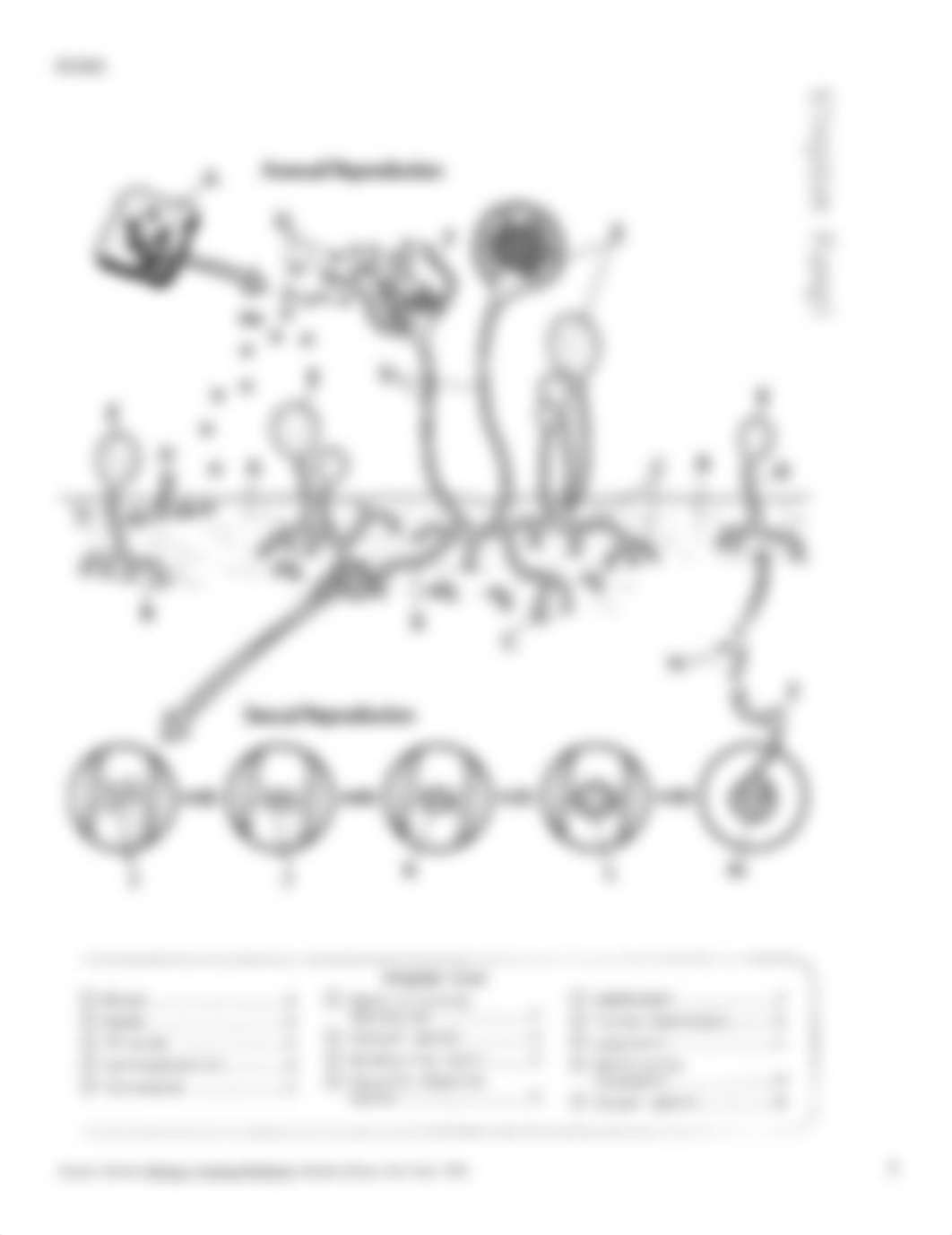 Taxonomy Coloring Book_dsvp8dn7u3r_page5