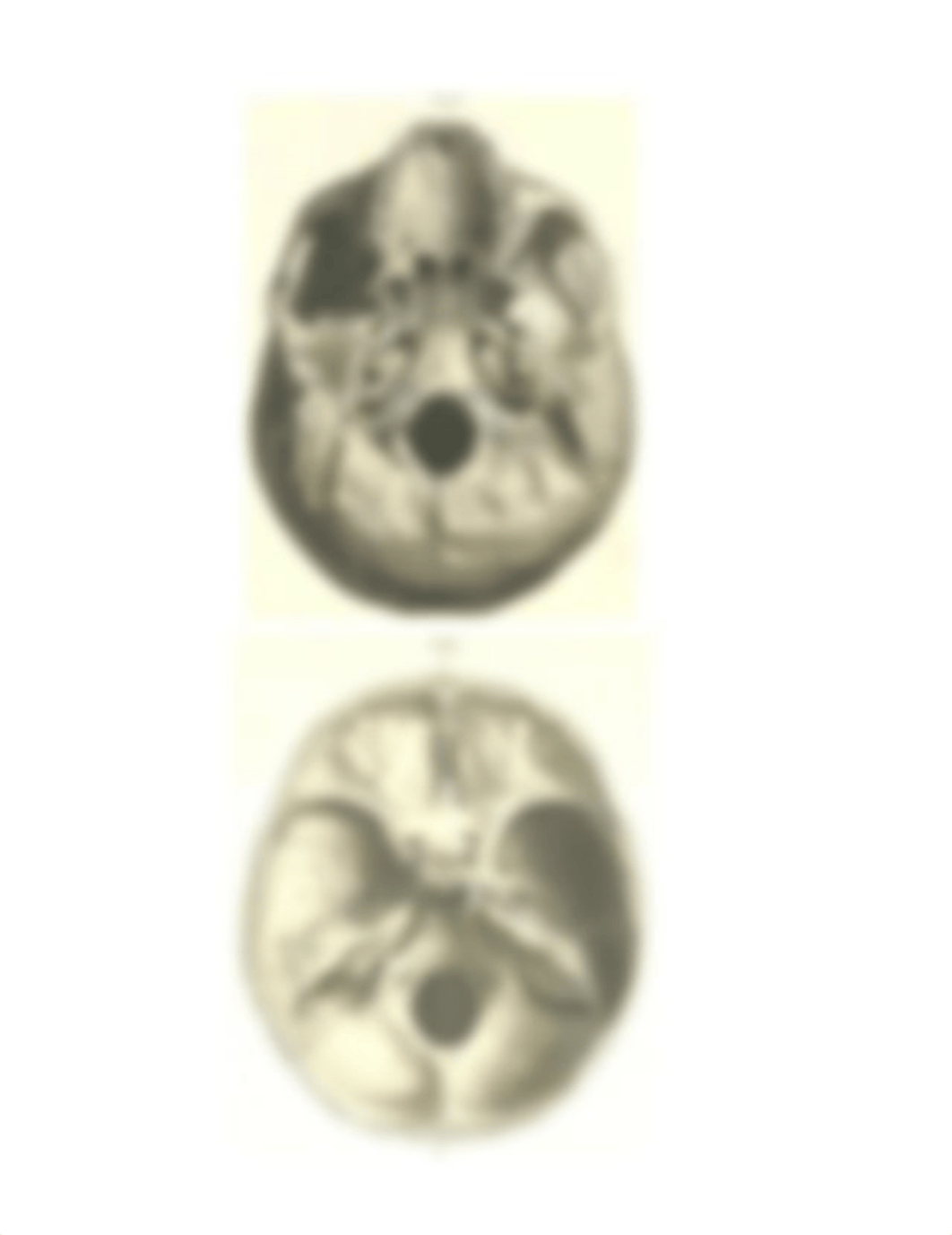 Cranial Nerves_dsvs5khtd9g_page2