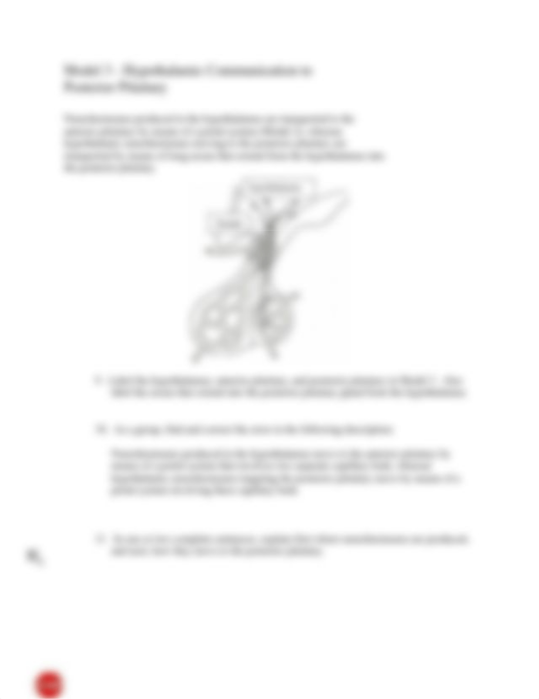 Hypothalamus and Pituitary Gland Worksheet.docx_dsvtpb96ffb_page4