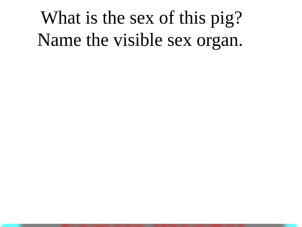 Fetal Pig Dissection Review1.ppt_dsw2tio93a9_page3