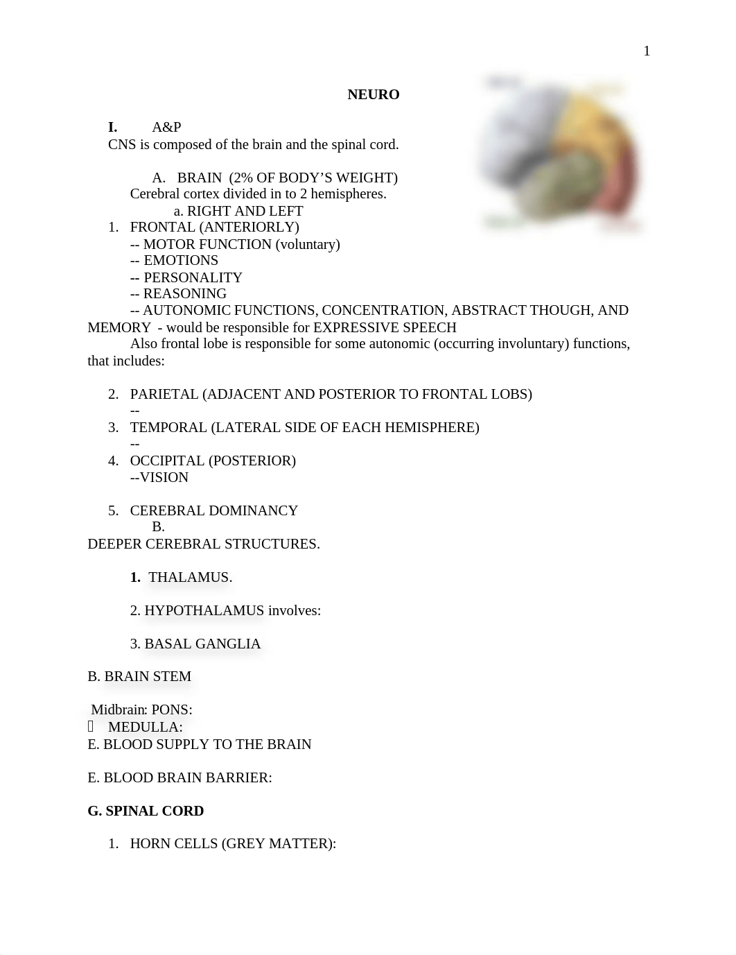 Neuro Study Guide.doc_dsw3afghgll_page1