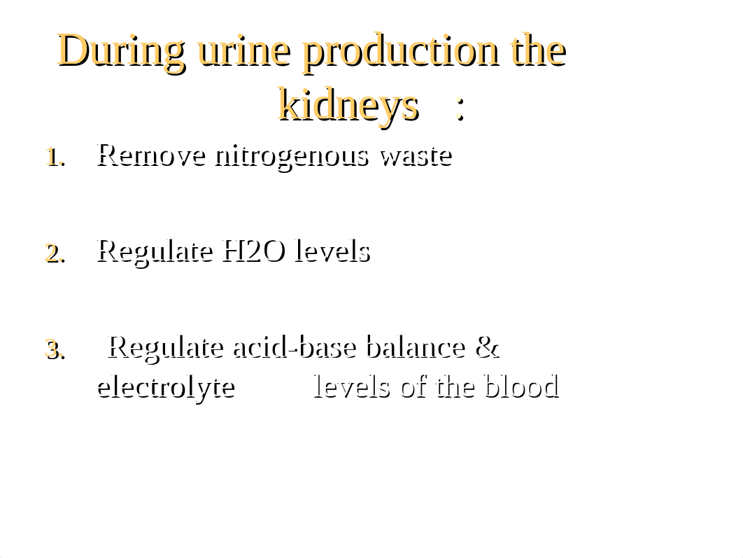 Urinary System.ppt_dsw4153m2zf_page3