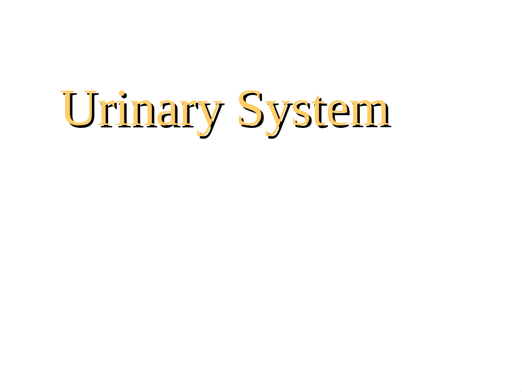 Urinary System.ppt_dsw4153m2zf_page1