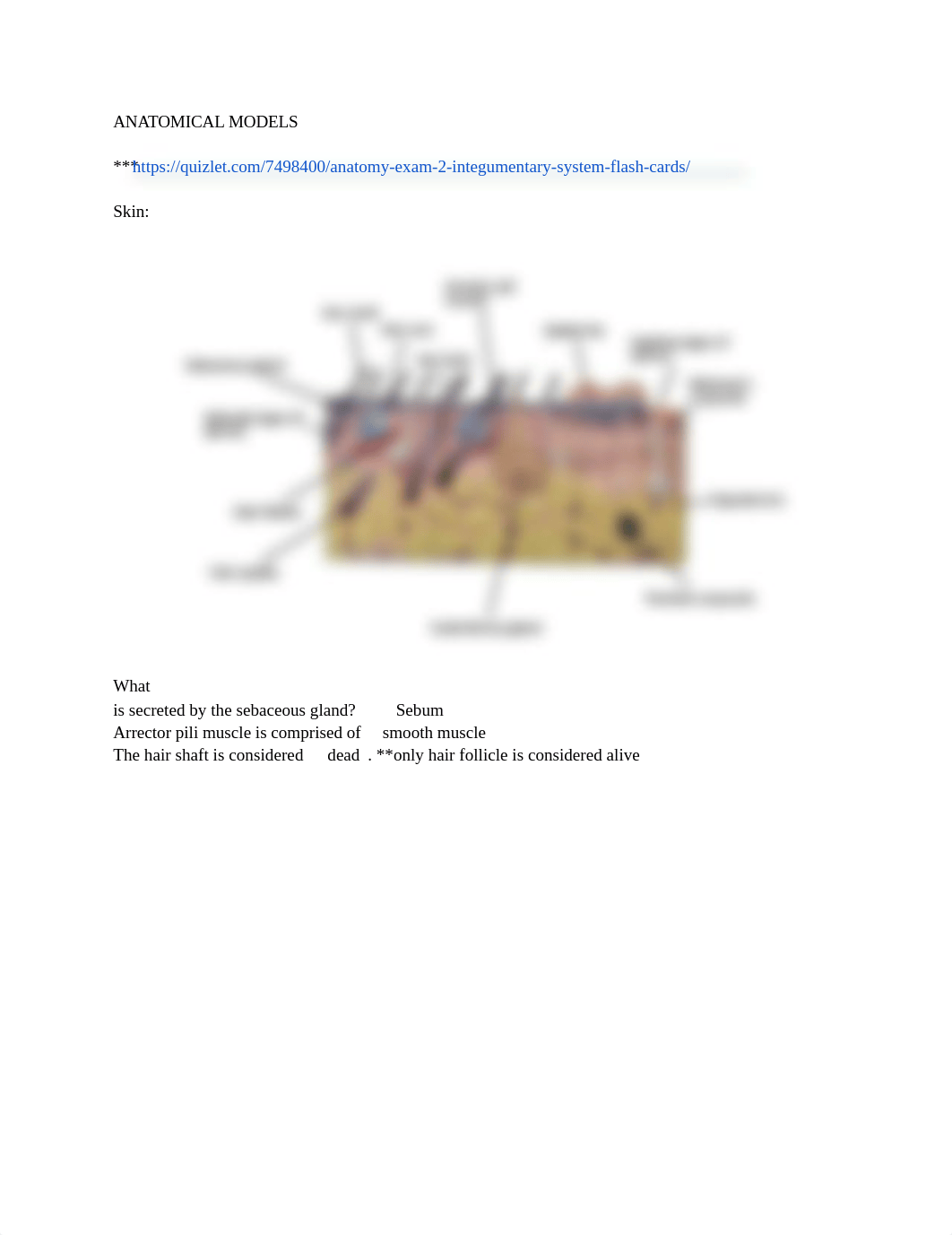 Integumentary System.docx_dsw4w19kua5_page1