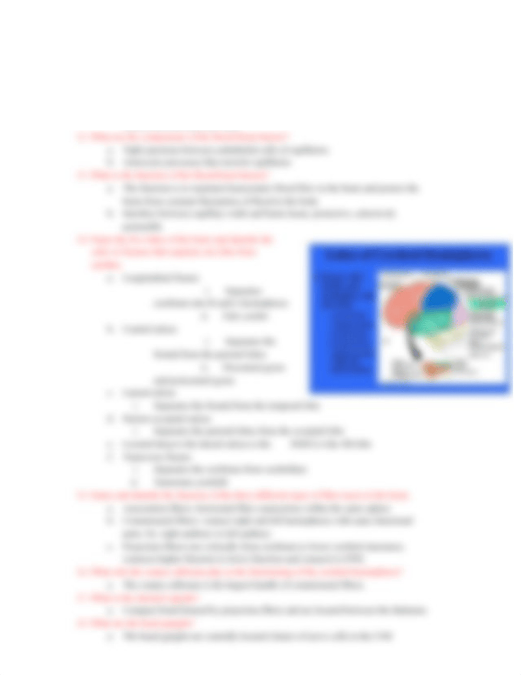 The Central Nervous System Study Guide.pdf_dswcv3dfdd2_page2