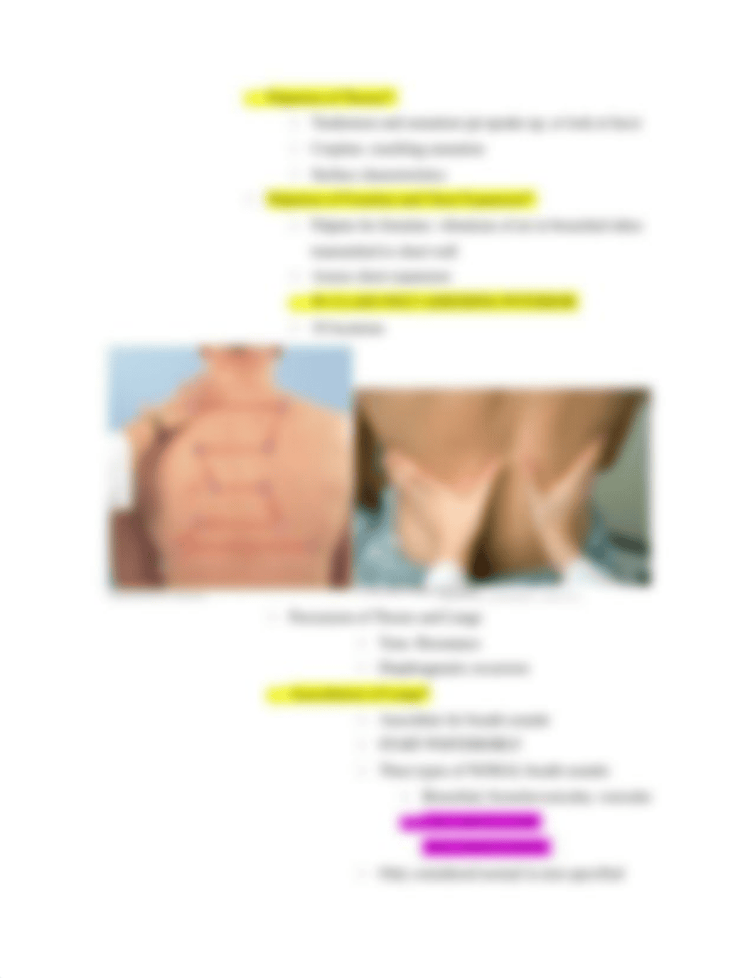 Chapter 19 Assessing Thorax and Lungs.docx_dswf3quinee_page3