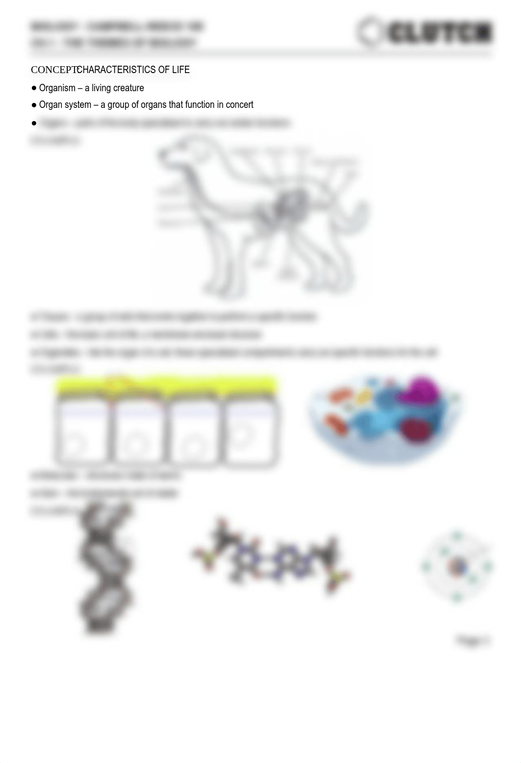 biology-12-campbell-biology-campbell-reece-91-ch-1-the-themes-of-biology-3405_dswgdmqb11y_page3