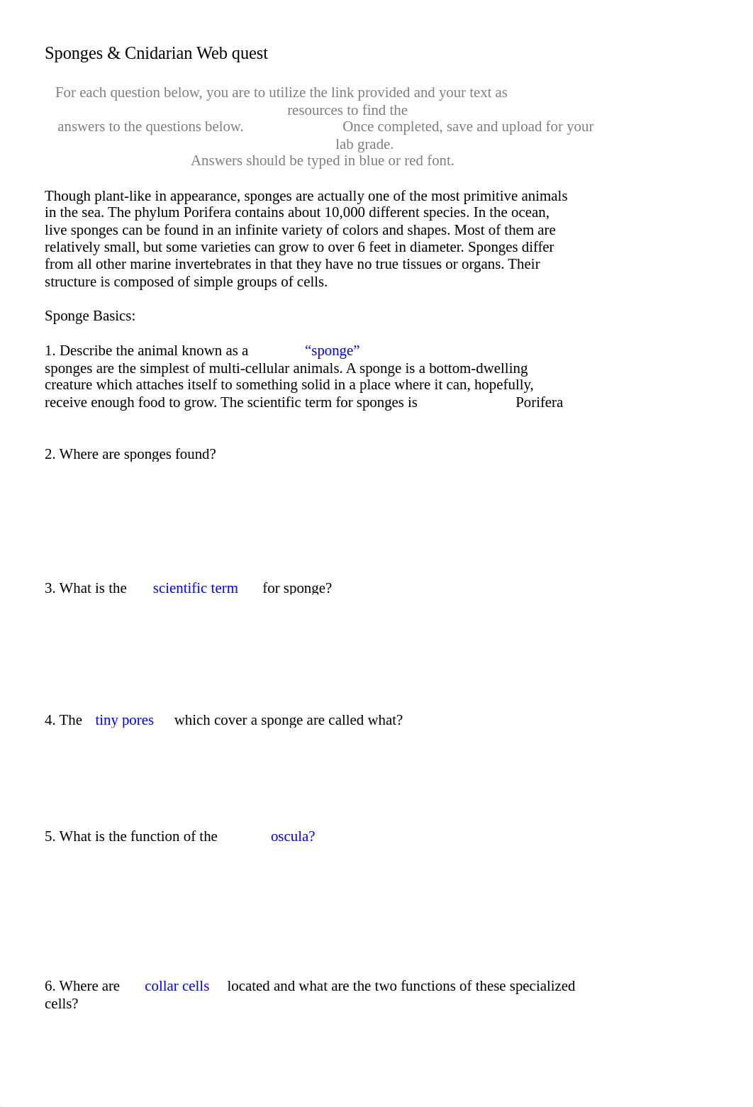 Sponge and Cnidaria Webquest.doc_dswmpcmsm2r_page1