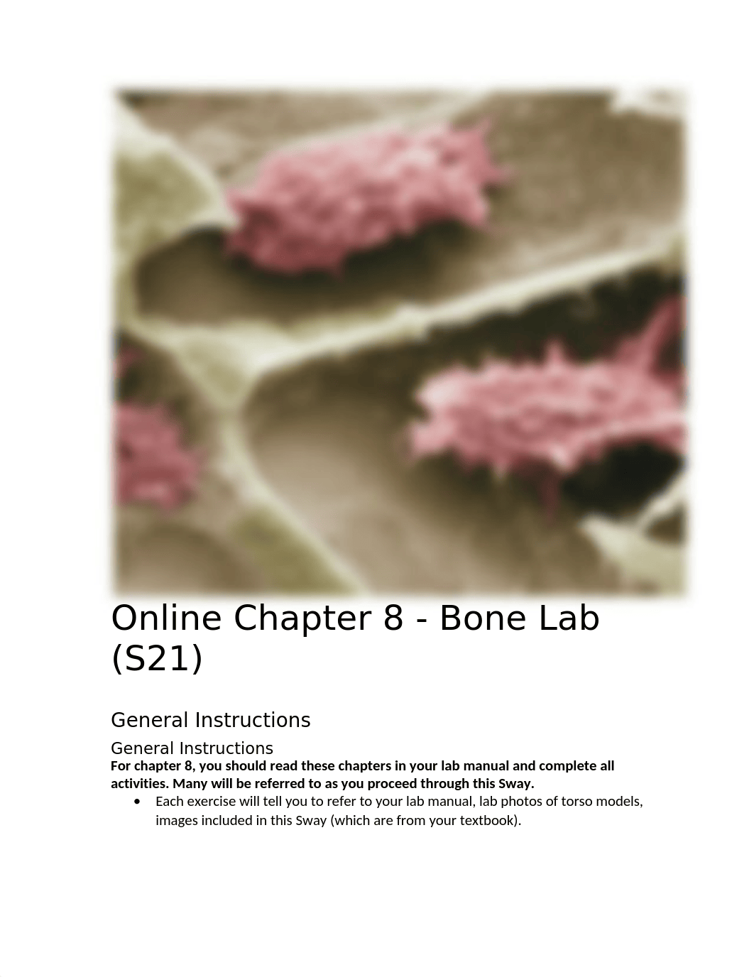 Online Chapter 8 - Bone Lab (S21).docx_dswqwxwmxt0_page2