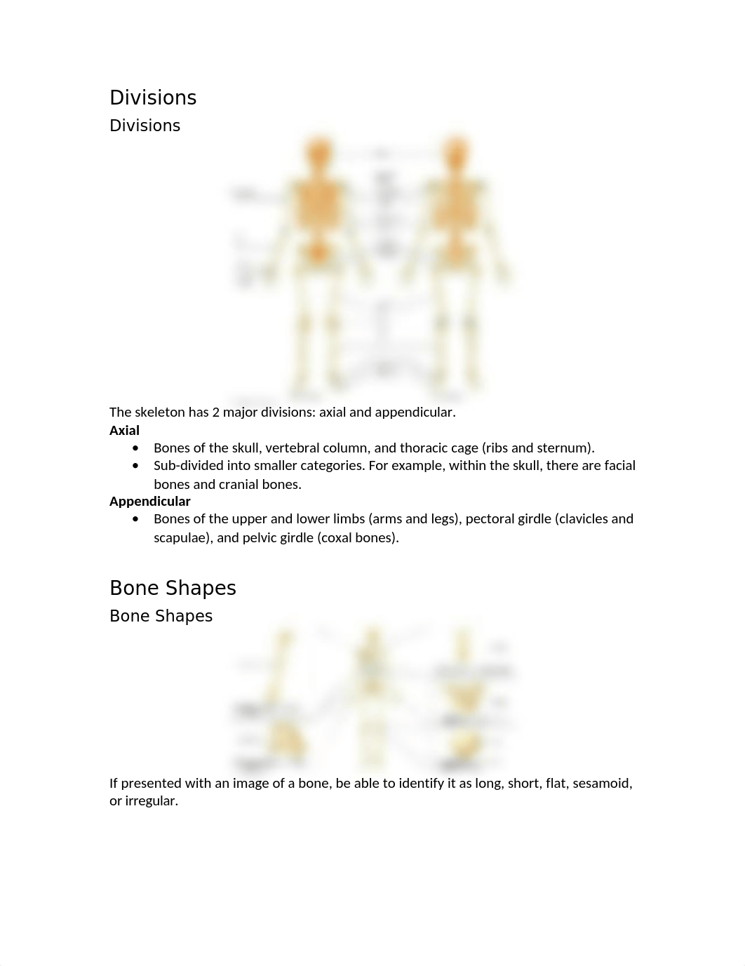 Online Chapter 8 - Bone Lab (S21).docx_dswqwxwmxt0_page3