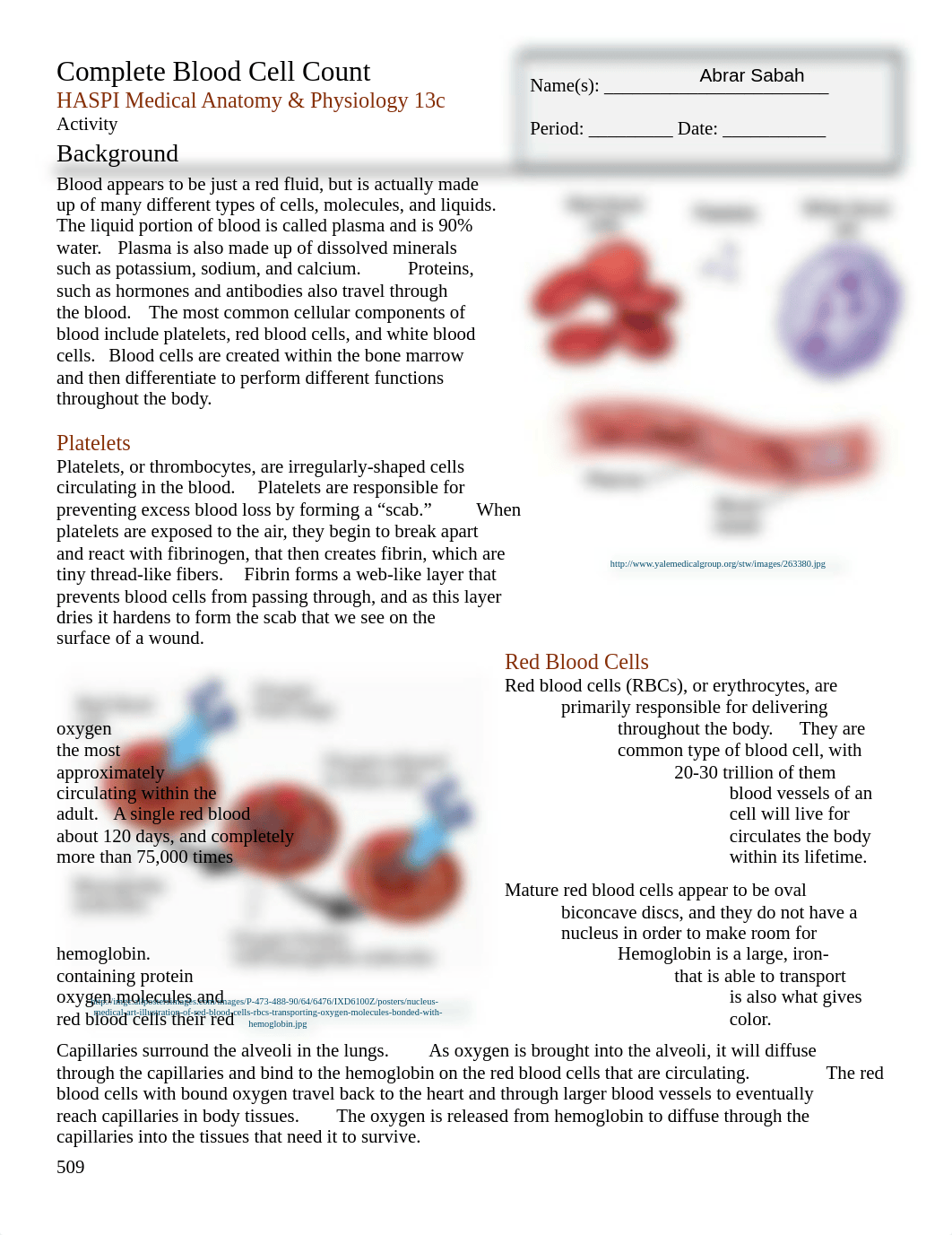 Blood Cell Count Lab.pdf_dswsz4snol1_page1