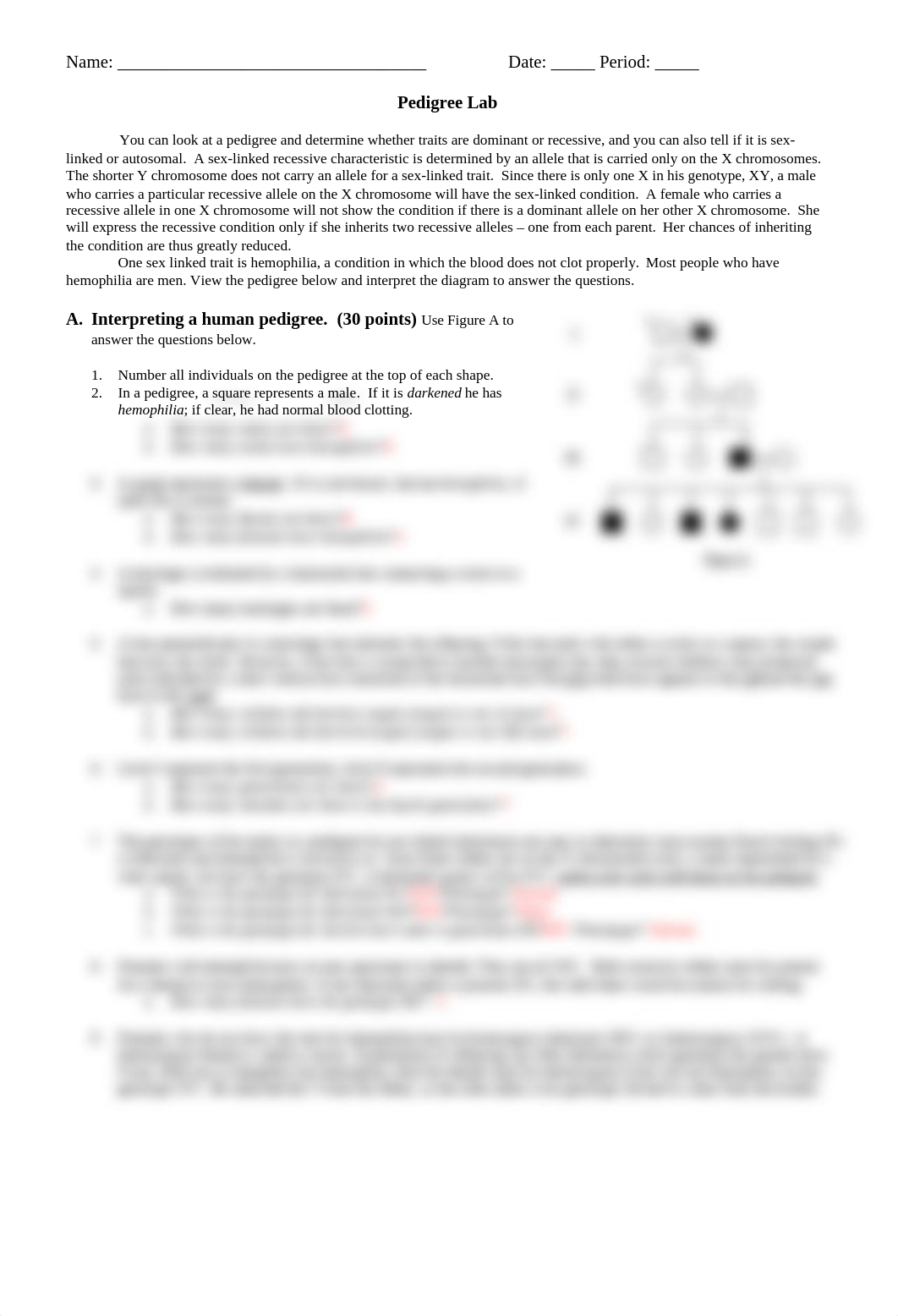 pedigree_lab_1 (1).docx_dswxgd6wnfp_page1