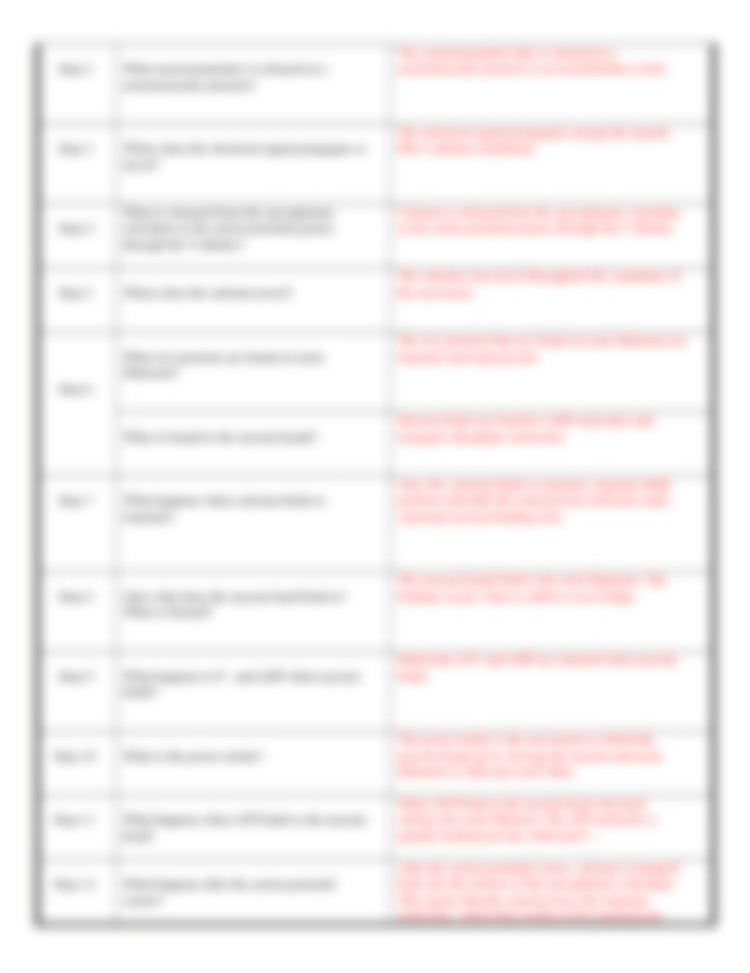 Muscle Contraction Animation.docx_dsx4tok2dvf_page2