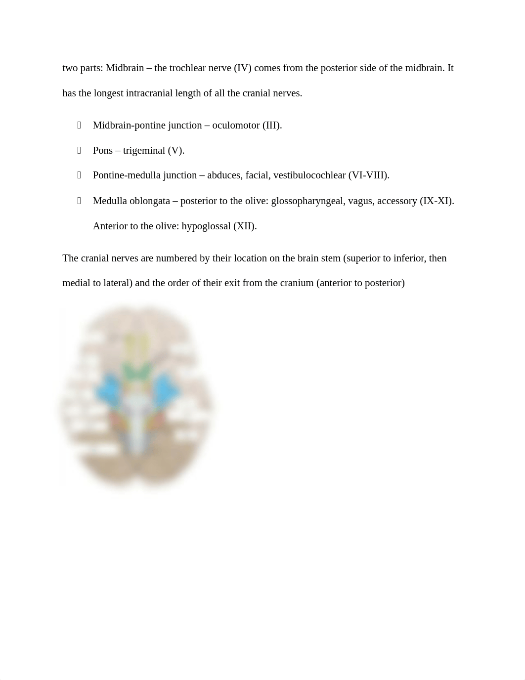 Gross Anatomy of the Brain and Cranial Nerves_dsx866nww8f_page2