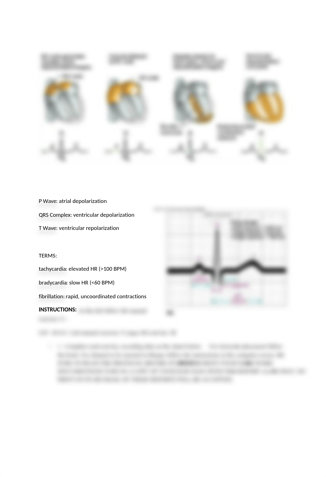 Biopac ECG(1)_dsx882dv4gn_page2