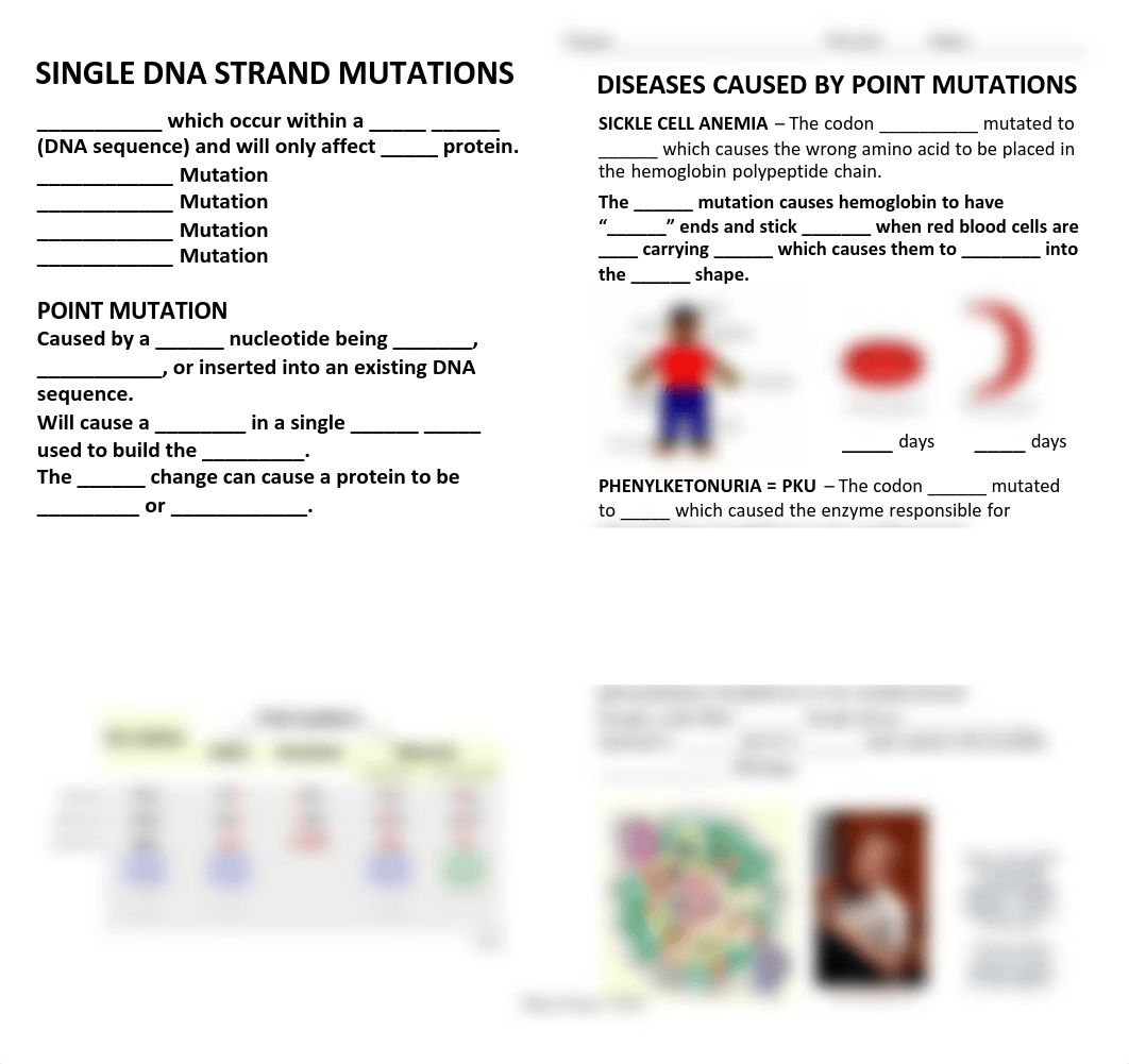 Genetic Mutations.pdf_dsxb8osm6zw_page3