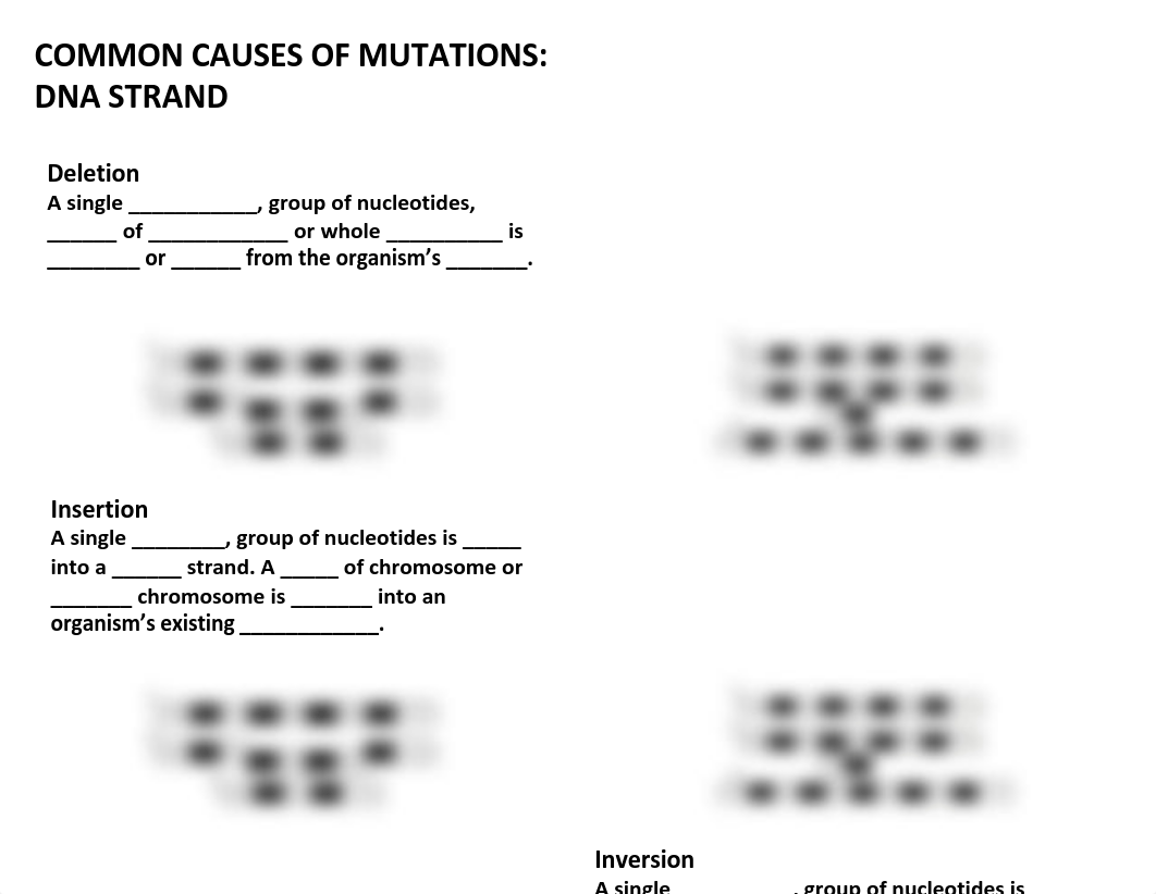 Genetic Mutations.pdf_dsxb8osm6zw_page2